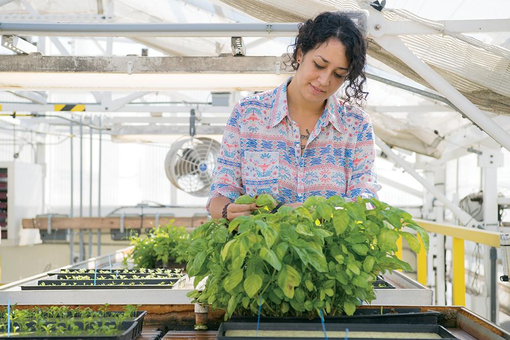 植物科学与农业技术